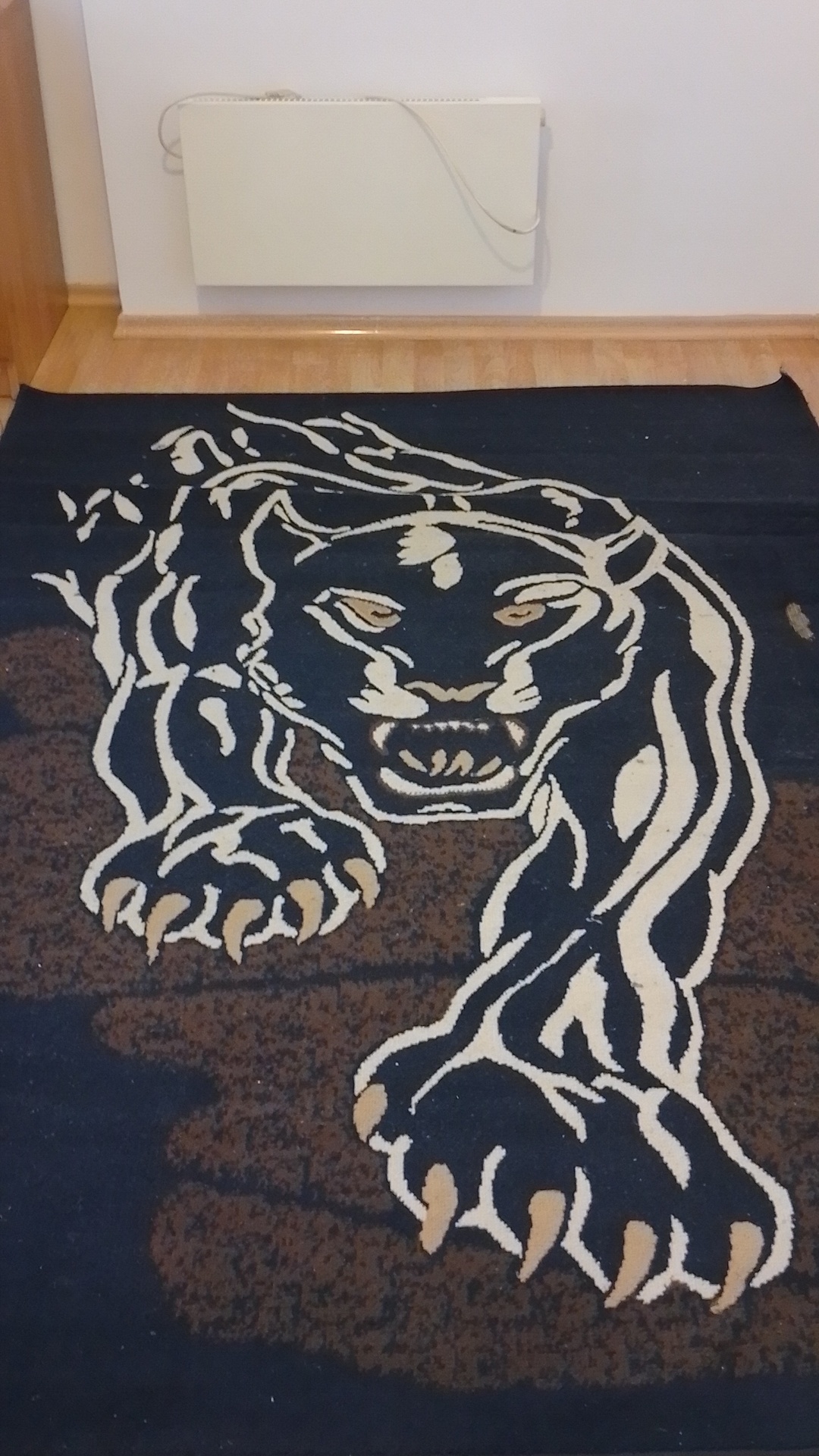 Before photo for Основно почистване