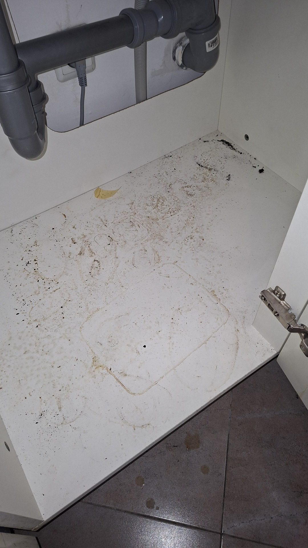 Before photo for Основно почистване