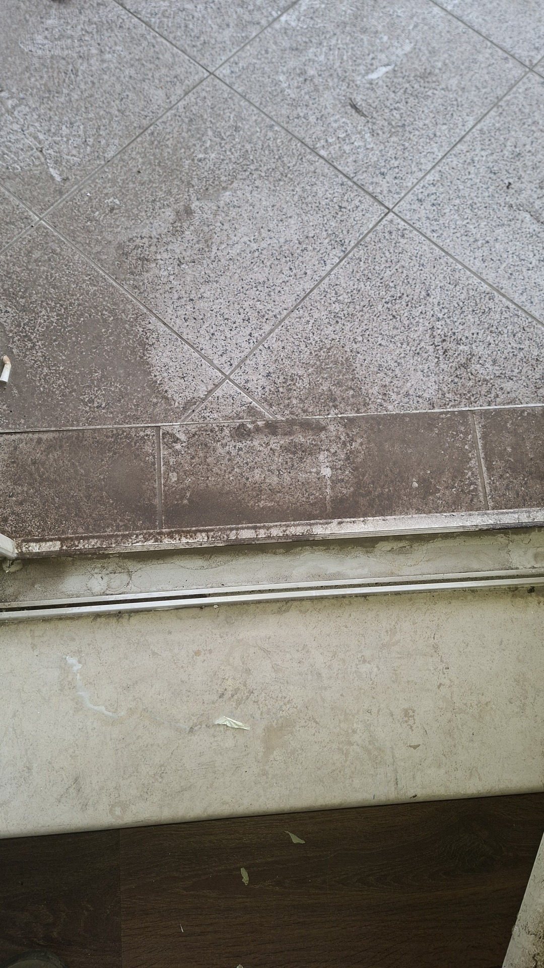 Before photo for Основно почистване