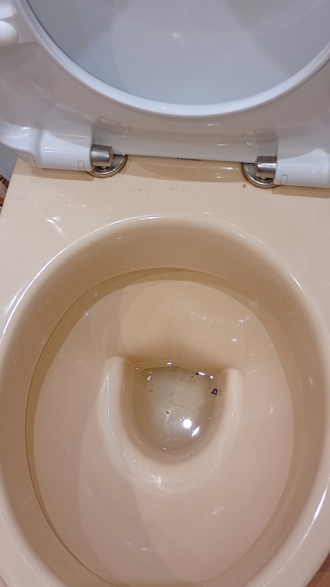 Before photo for Основно почистване