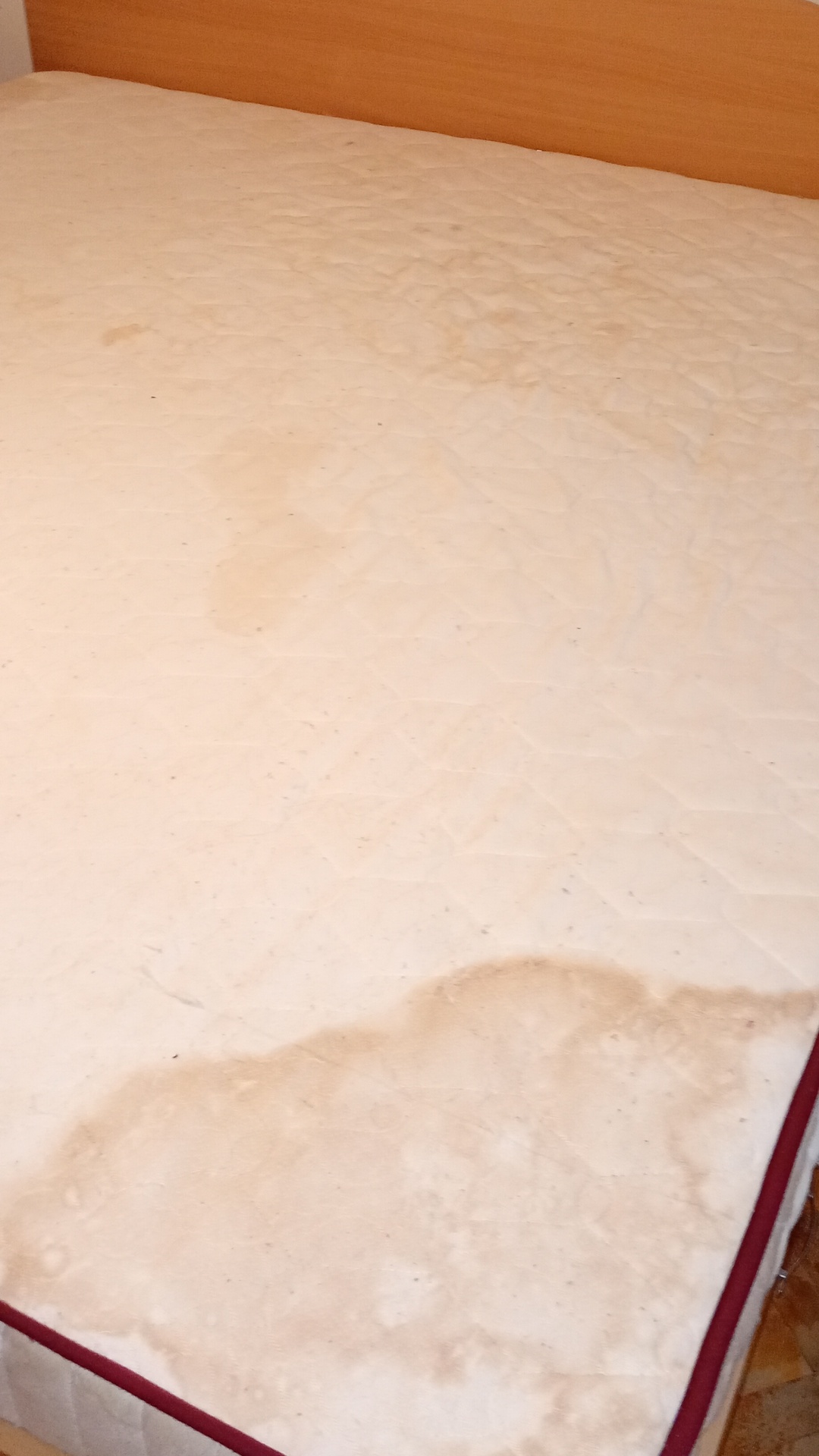 Before photo for Upholstery Cleaning