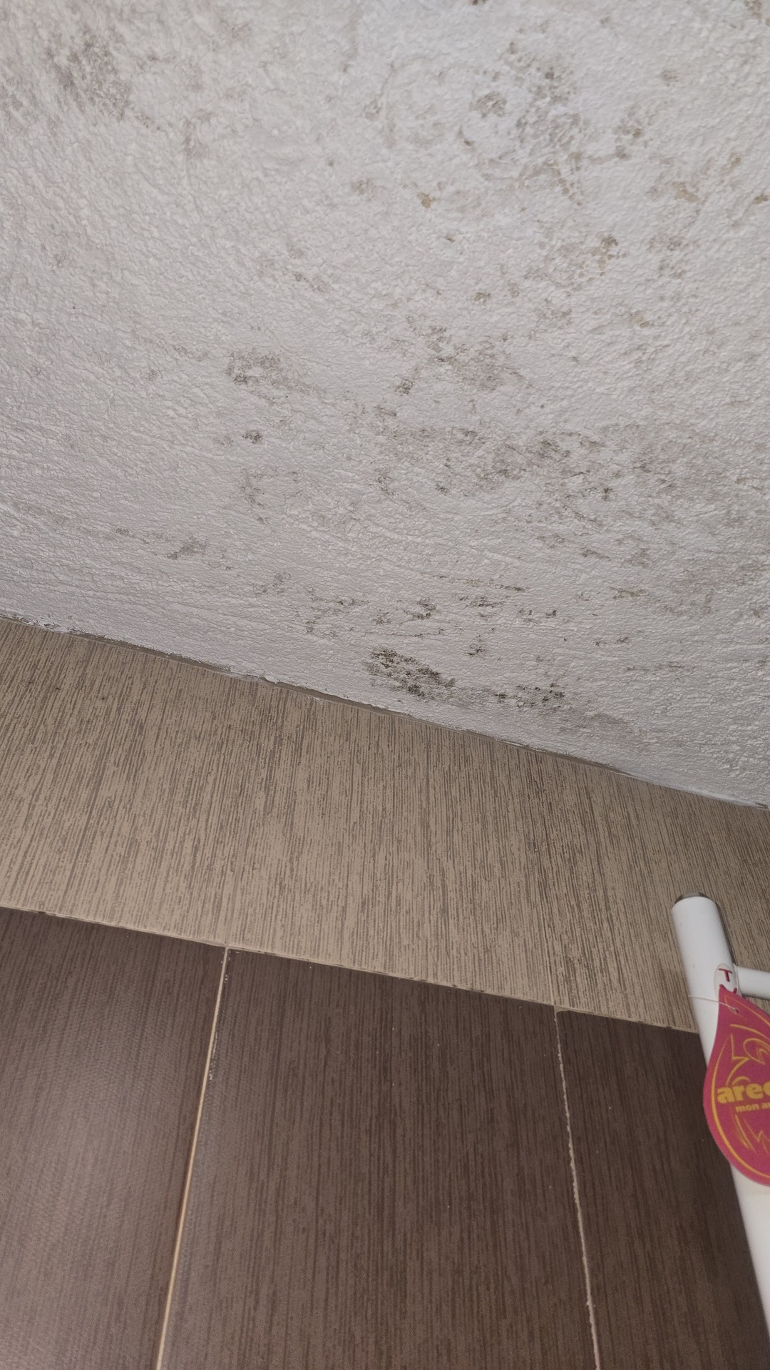 Before photo for Основно почистване