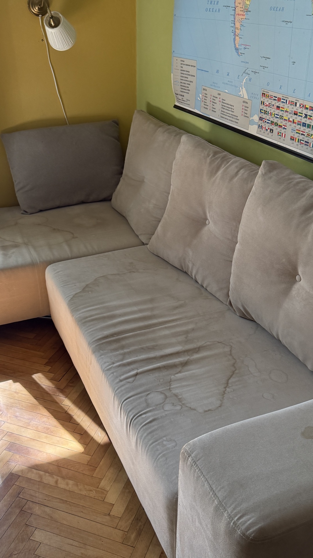 Before photo for Upholstery Cleaning