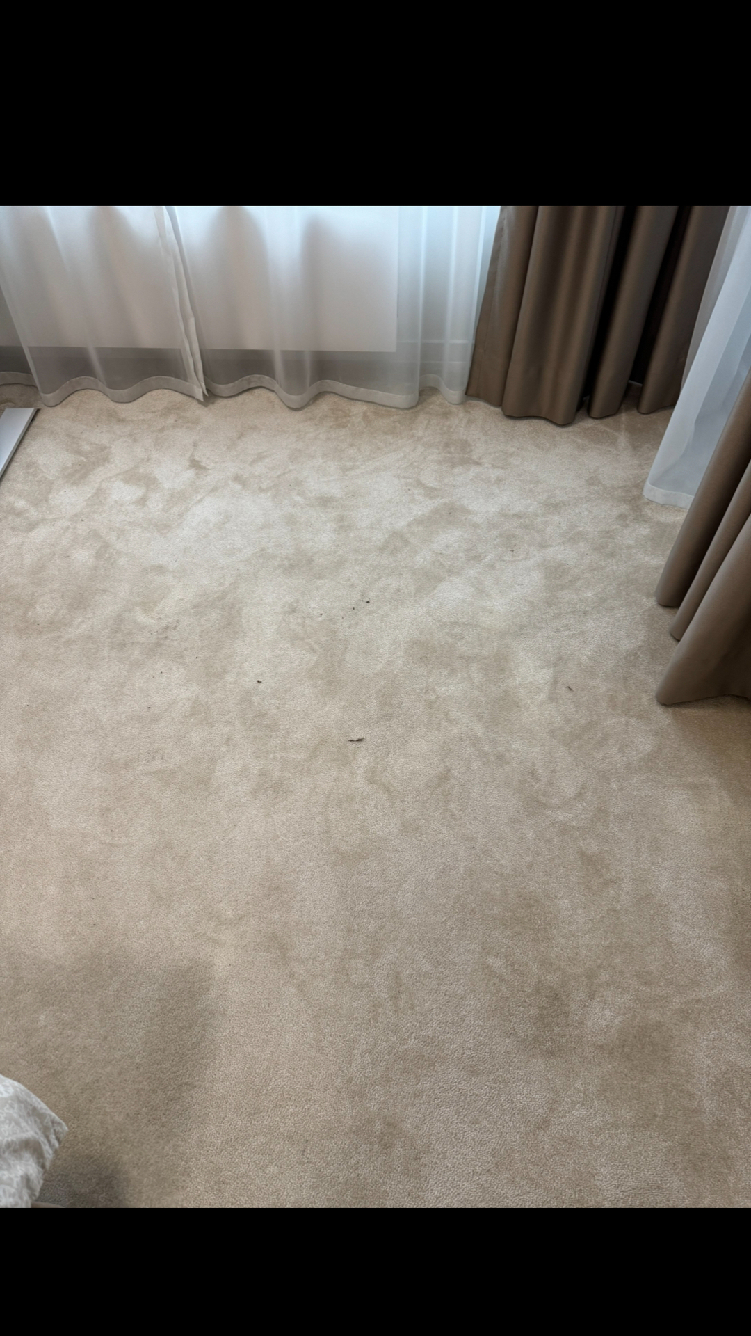 Before photo for Upholstery Cleaning