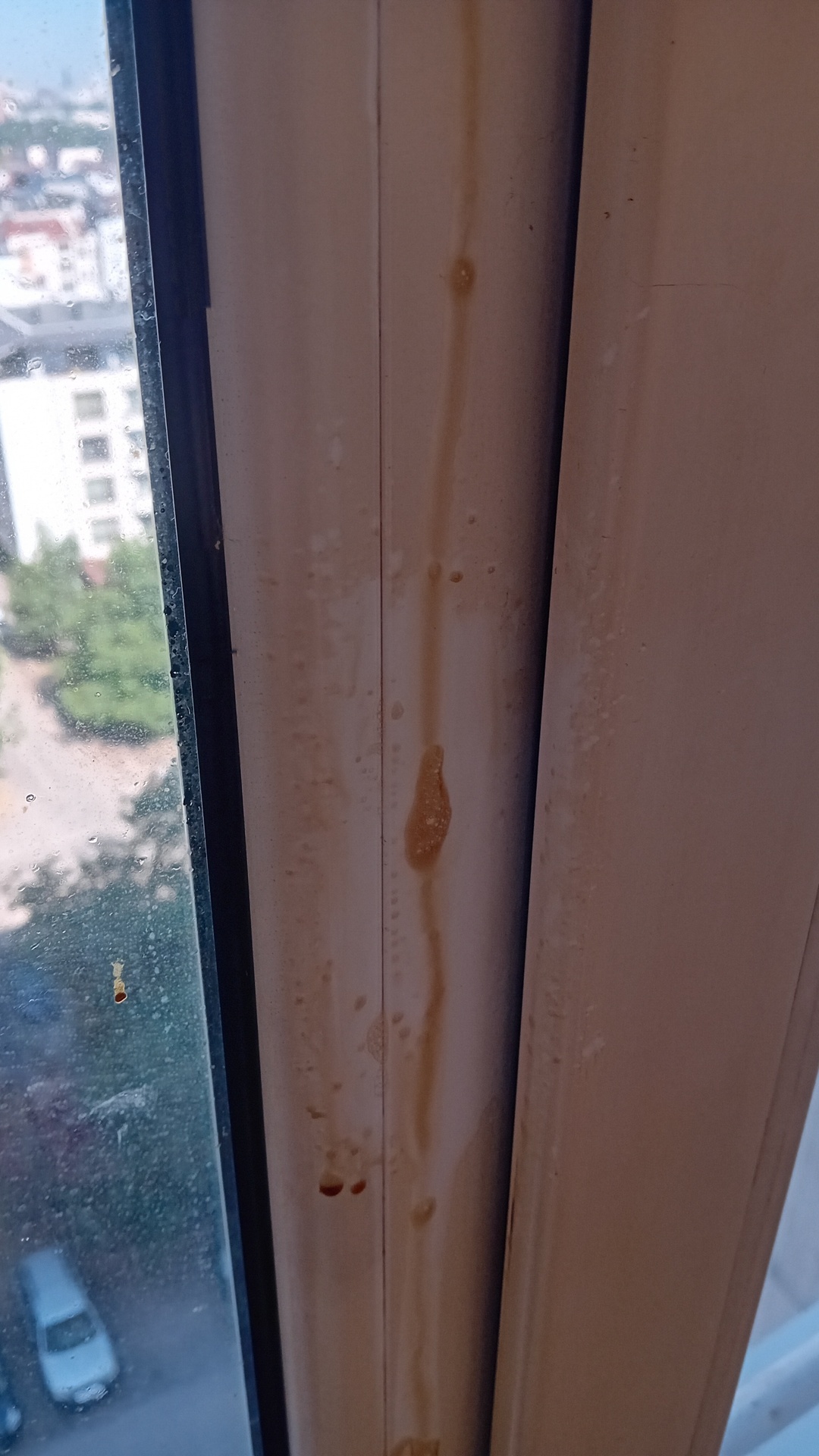 Before photo for Почистване на прозорци