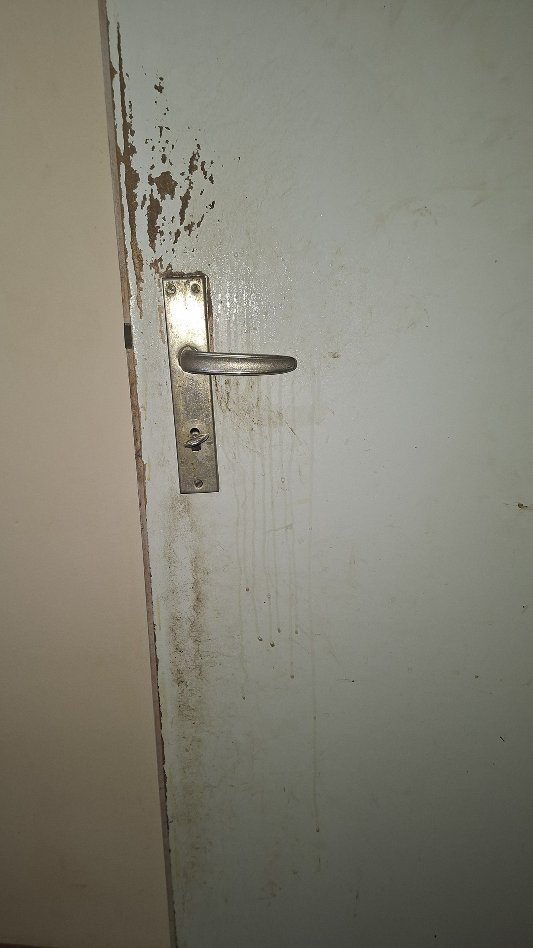 Before photo for Deep Cleaning