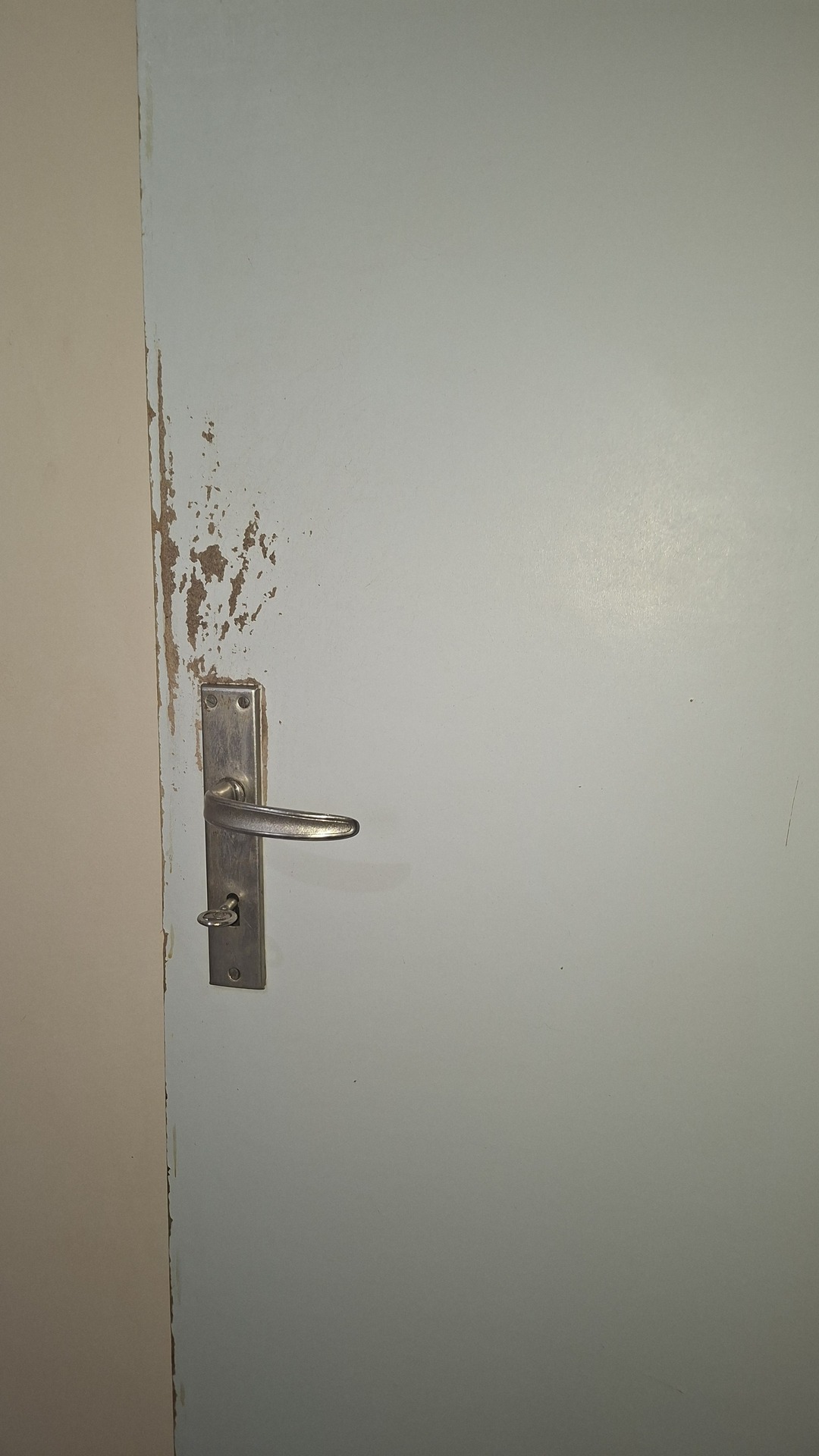 After photo for Основно почистване