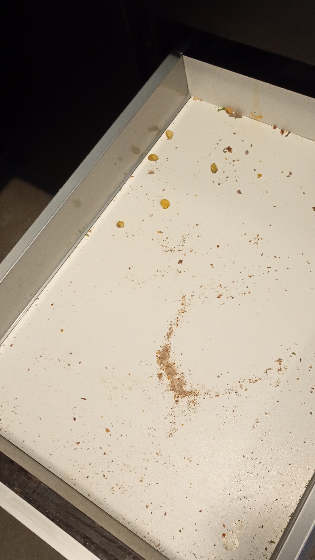 Before photo for Deep Cleaning