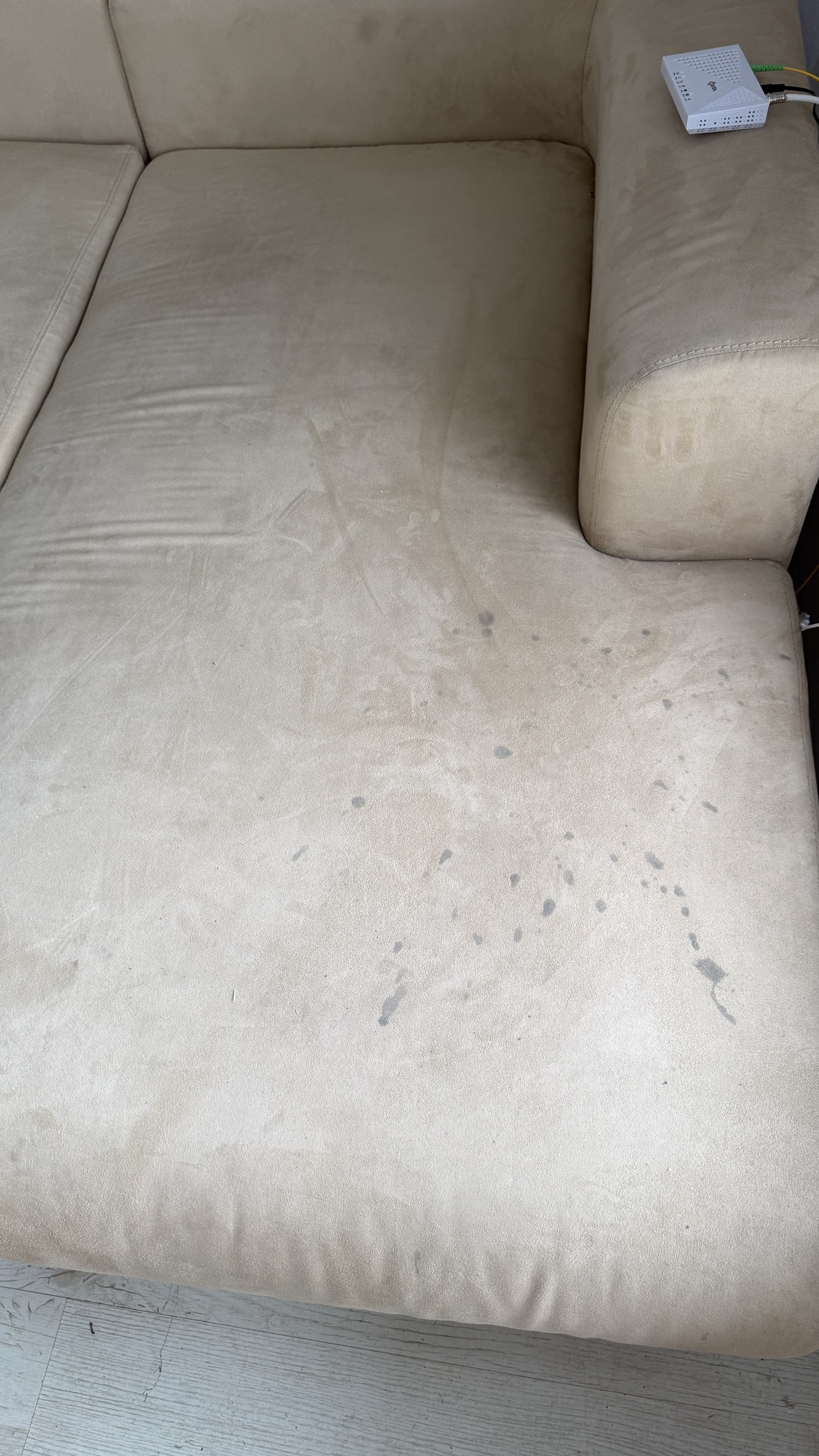 Before photo for Upholstery Cleaning